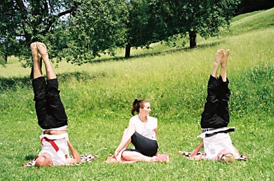 Copyright by Arno Sammer - www.mediadesignbase.com