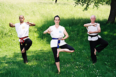 Copyright by Arno Sammer - www.mediadesignbase.com